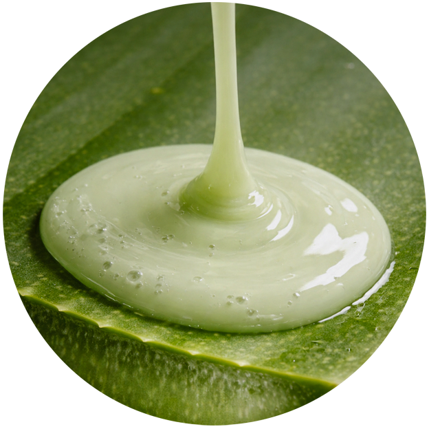 body serum 2026