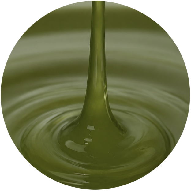 chlorophyllipt gel
